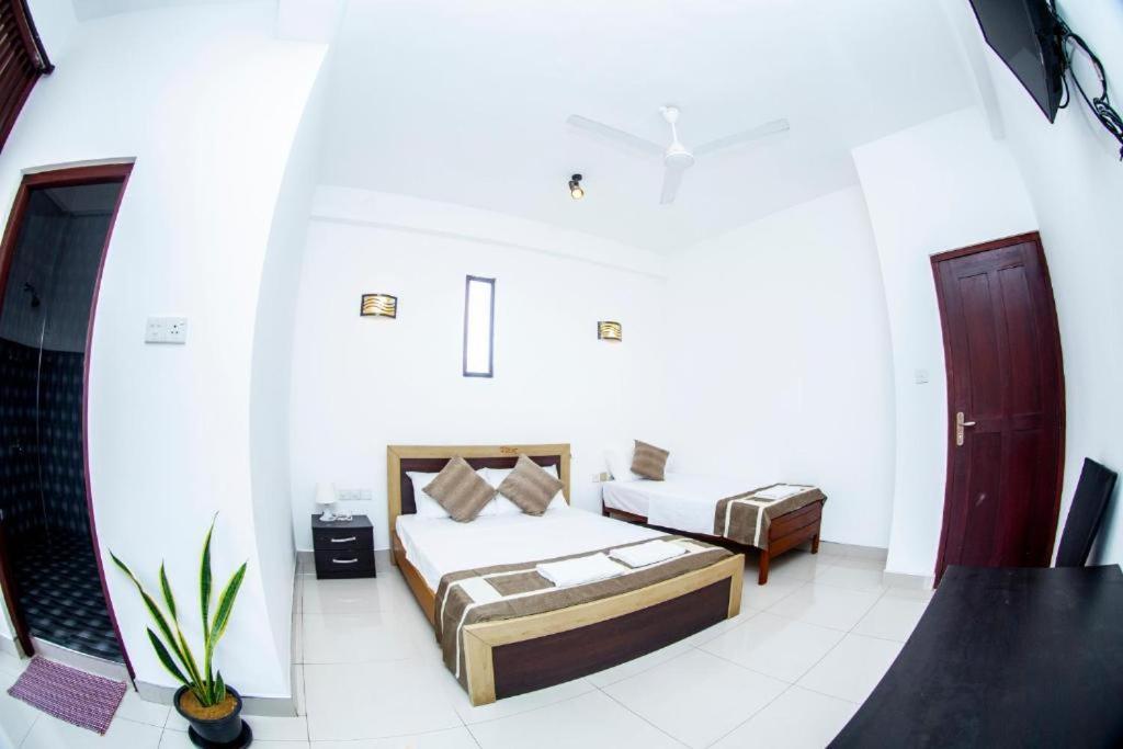 Hotel Blue Bird Νεγκόμπο Εξωτερικό φωτογραφία