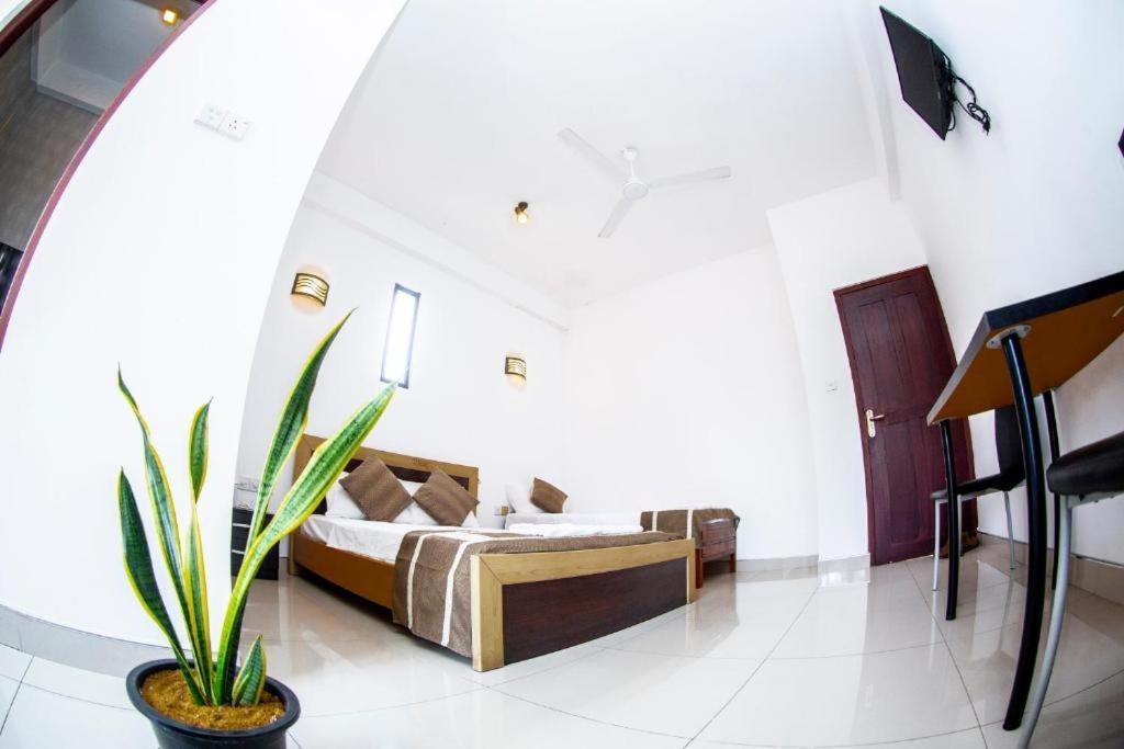 Hotel Blue Bird Νεγκόμπο Εξωτερικό φωτογραφία