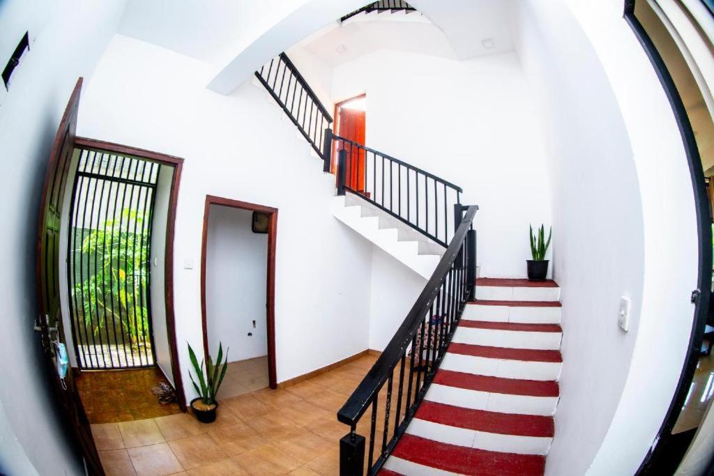 Hotel Blue Bird Νεγκόμπο Εξωτερικό φωτογραφία