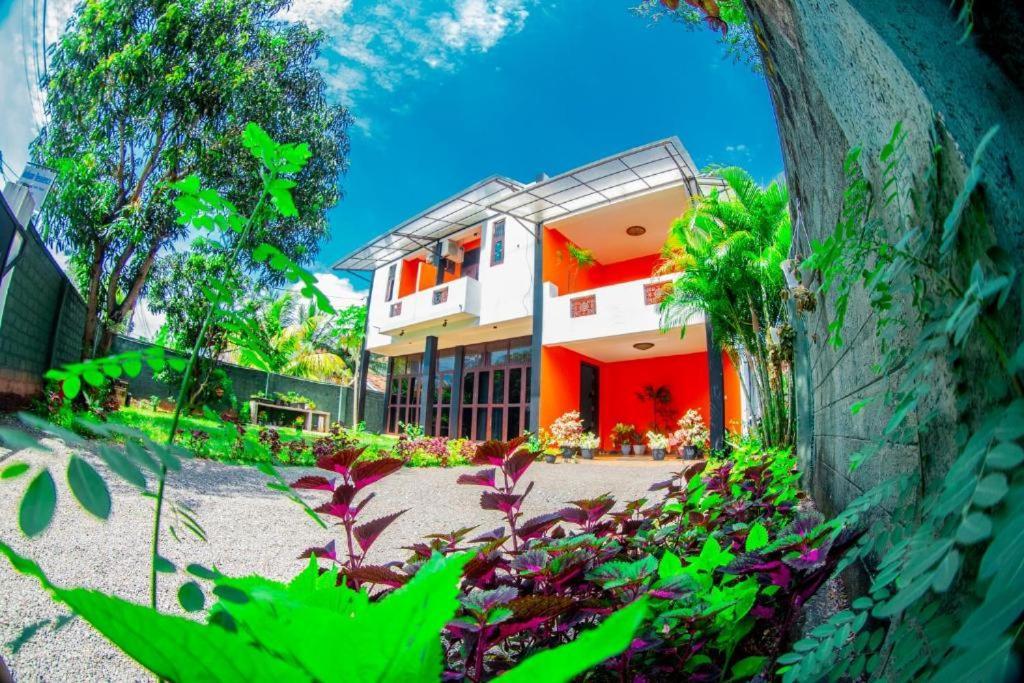 Hotel Blue Bird Νεγκόμπο Εξωτερικό φωτογραφία